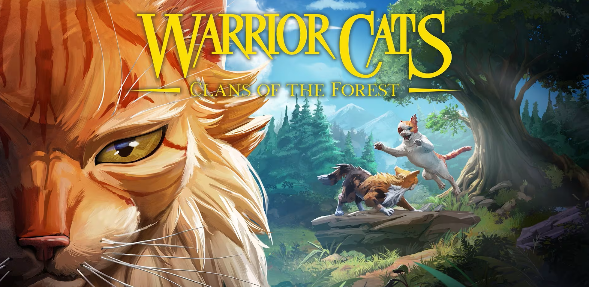 Warrior Cats Clans of the Forest